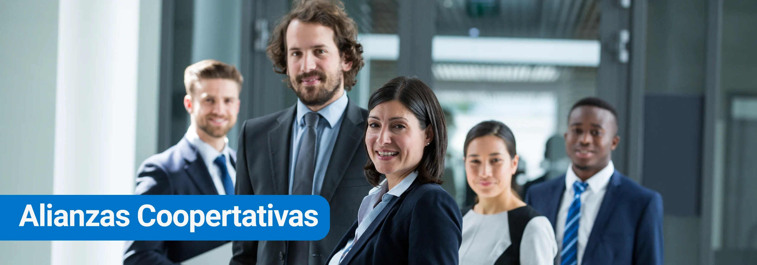 pagina web farmadisa-36