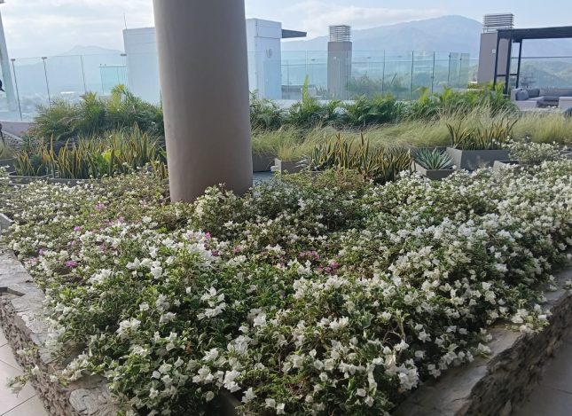 WhatsApp Image 2025-07-29 at 10.38.43 AM (4)